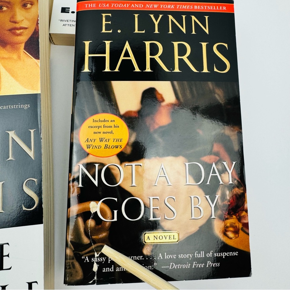 E. Lynn Harris book bundle. 8 books in total. 2 hardcover, 6 paperback books. - Picture 6 of 6